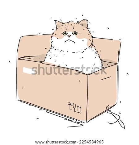 Fluffy fat cat hid in a box. Homeless pet. A parcel with a big sad kitten. The concept of delivery, packaging and moving. hand drawn vector illustration