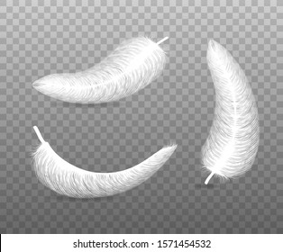fluffy feather with shadow vector realistic set isolated on transparent background.
