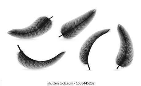 Fluffy feather with shadow vector realistic set isolated on transparent background.