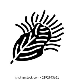 fluffy feather soft glyph icon vector. fluffy feather soft sign. isolated symbol illustration