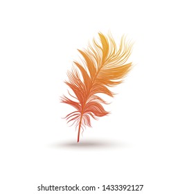 Fluffy feather from the wing of a fantastic bird. Single icon, orange feather silhouette, isolated vector illustration on white background.
