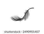 Fluffy feathers flying plume quills silhouettes design editable background