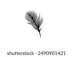 Fluffy feathers flying plume quills silhouettes design editable background