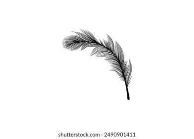 Fluffy feathers flying plume quills silhouettes design editable background