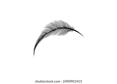 Fluffy feathers flying plume quills silhouettes design editable background