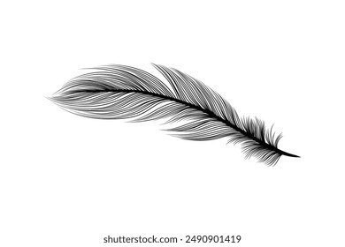 Fluffy feathers flying plume quills silhouettes design editable background