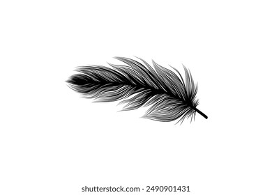 Fluffy feathers flying plume quills silhouettes design editable background