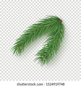 Fluffy fir tree brunch isolated on transparent background. Merry Christmas and Happy New Year decoration. Green fir tree branch vector illustration. Fresh conifer plant detailed 3d rendering element.