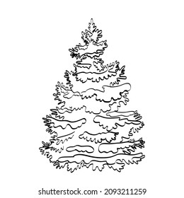 Fluffy forest spruce. Contour drawing. The outline of a Christmas tree. A sketch. Black and white image on a white background.