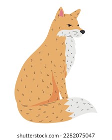 Fluffy fox sitting over white