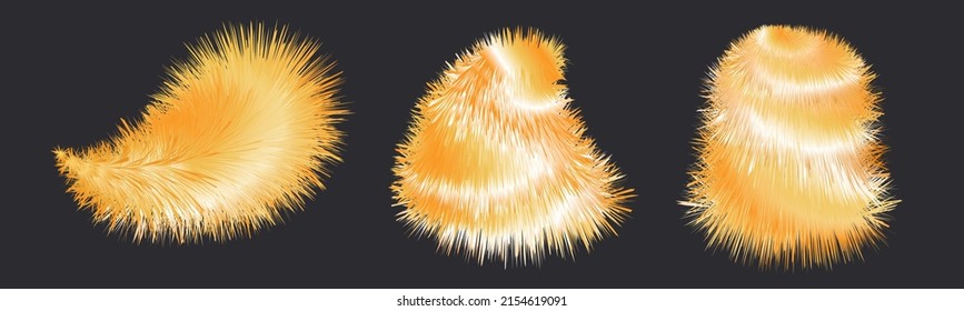 Fluffy furry pompoms, shaggy feather, orange fox fur. Striped fluffy texture, isolated 3d foxy brushes, winter Christmas gifts. Vector illustration