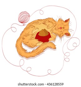 fluffy ginger cat who sleeps beside full bowl of food and a ball of yarn