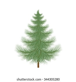 Fluffy green Christmas tree to decorate.