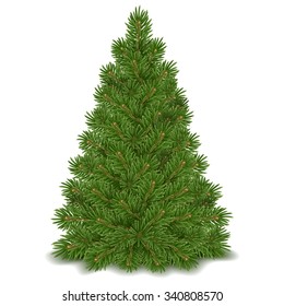 Fluffy green Christmas tree ready to decorating. Isolated on white background. Vector illustration.