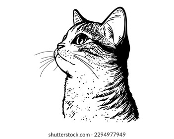 Fluffy Kätzchen, süße handgezeichnete KatzenVektorgrafik einzeln auf weißem Hintergrund