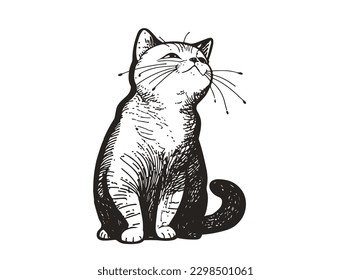 Fluffy kitten, cute cat hand drawn line style vector illustration isolated on white background
