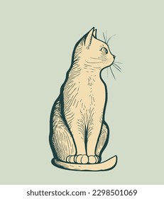 Fluffy kitten, cute cat hand drawn line style vector illustration isolated on white background