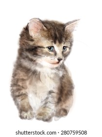 Fluffy kitten.  Imitation of watercolor painting.
