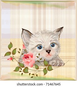 fluffy kitten  with pink rose
