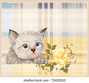 fluffy kitten  with rose