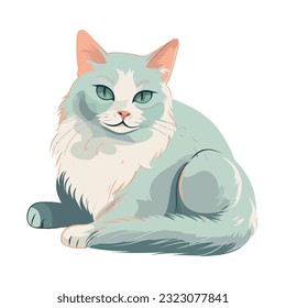 fluffy kitten sitting over white