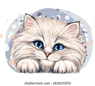 Fluffy kitten. Wall sticker. Color, artistic, portrait of a happy, fluffy kitten in watercolor style on a white background. Digital vector drawing