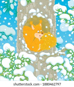 Fluffy little red squirrel with a big pine cone at home in a cozy hollow on a snow-covered tree in a thicket of a snowy wild forest on a cold winter day, vector cartoon illustration