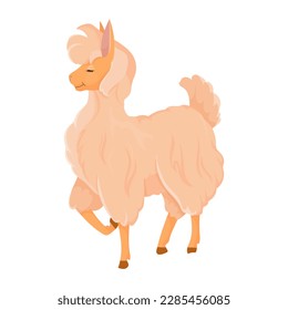 Fluffy llama. Alpaca. Livestock, animal, Farming. Farm. Vector illustration isolated on white background.