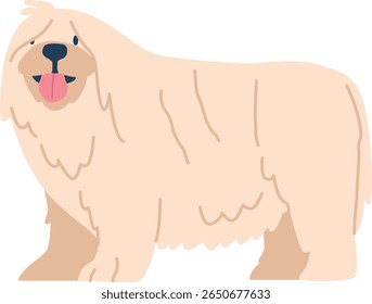 Fluffy long-haired dog pet animal