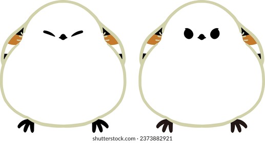 Fluffy Long Tail Illustration 2