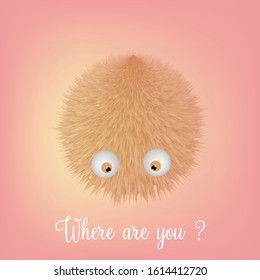 The fluffy is looking for someone