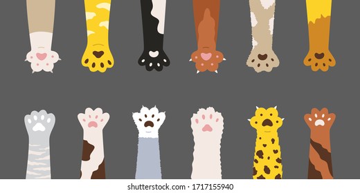 Fluffy Multicolored Cats Paws Set Cute Stock Vector (Royalty Free ...