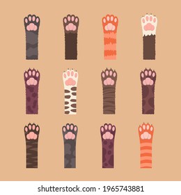 Fluffy multicolored cats paws set. Seamless pattern, multi-colored cat paws isolated on background. Brochure, postcard, flyer. Vector illustration in simple cartoon flat style, eps 10. 