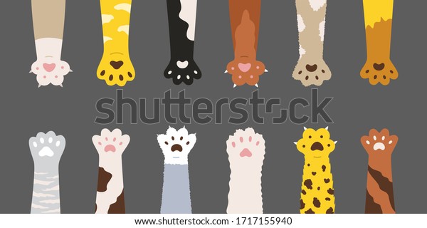 Fluffy multicolored cats paws set. Cute feline\
clutches isolated on grey background. Vector illustration for\
domestic animal, pet, kittens,\
concept