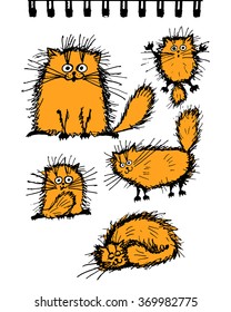 Fluffy orange cats collection, sketch for your design