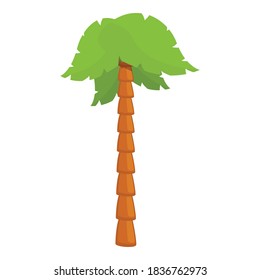 Icono de palmera esponjoso. Caricatura del icono del vector de palma esponjosa para el diseño web aislado en fondo blanco
