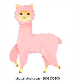 fluffy pink alpaca or llama in cartoon style, vector illustration isolated on white background 