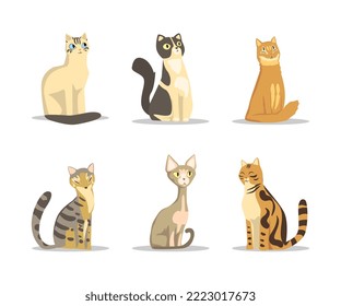 Fluffy Purebred Cat with Tail and Cute Snout in Sitting Pose Vector Set