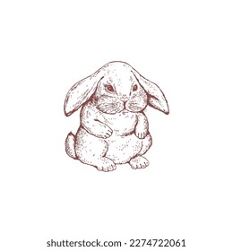 Dibujo vectorial de estilo de grava con forma de conejo o liebre sentado aislado sobre fondo blanco. Conejo o conejo lindo personaje para impresiones y tarjetas.