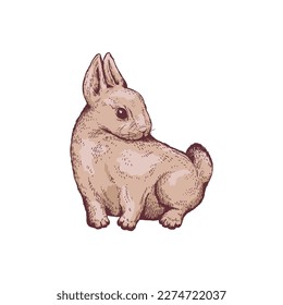 Fluffy rabbit vector drawing, sketch style illustration isolated on white background. Cute hare or bunny sitting. Concept of nature and wildlife.