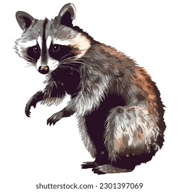 Fluffy racoon sitting isolated over white