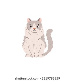 Fluffy ragdoll cat sitting, cartoon flat vector illustration isolated on white background. Hand drawn animal. Domestic pet drawing. Concept of cat breeds.