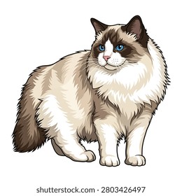 Fluffy Ragdoll cat vector isolated on white background digital illustration