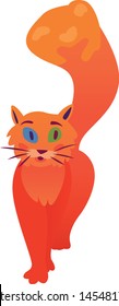 Fluffy red cat walking proudly
