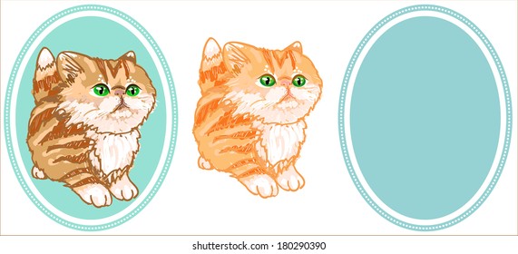 Fluffy red hand-drawn Persian kitten and blue oval frame