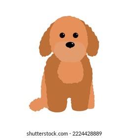 Fluffy red sitting puppy vector illustration isolated on white background. Brown poodele, labradoodle, maltipoo icon svg