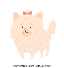 Fluffy shaggy dog ​​breed pomeranian. Funny cartoon dog pet, isolated vector illustration for  print, game, party, kids design.