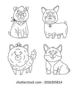 Fluffy shaggy little dogs breed pomeranian, pug, bulldog, corgi  coloring page. Cartoon animal puppy set. Isolated vector illustration for coloring book, t-shirt print, game, textile, pet icons.