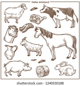 Fluffy sheep, big adult cow, strong horse, little goat, fat pig