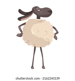 Fluffy sheep cartoon illustration. Fluffy lamb in skates or sneakers with candy. Sleepy animal in nightcap with pillow. Farm animal concept